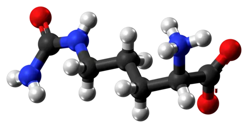 L-Citrulline HCL