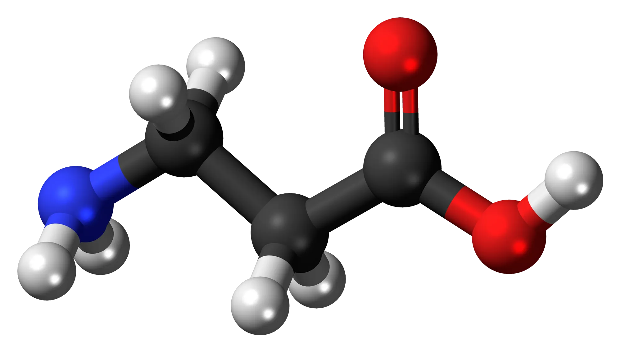 Beta-Alanine