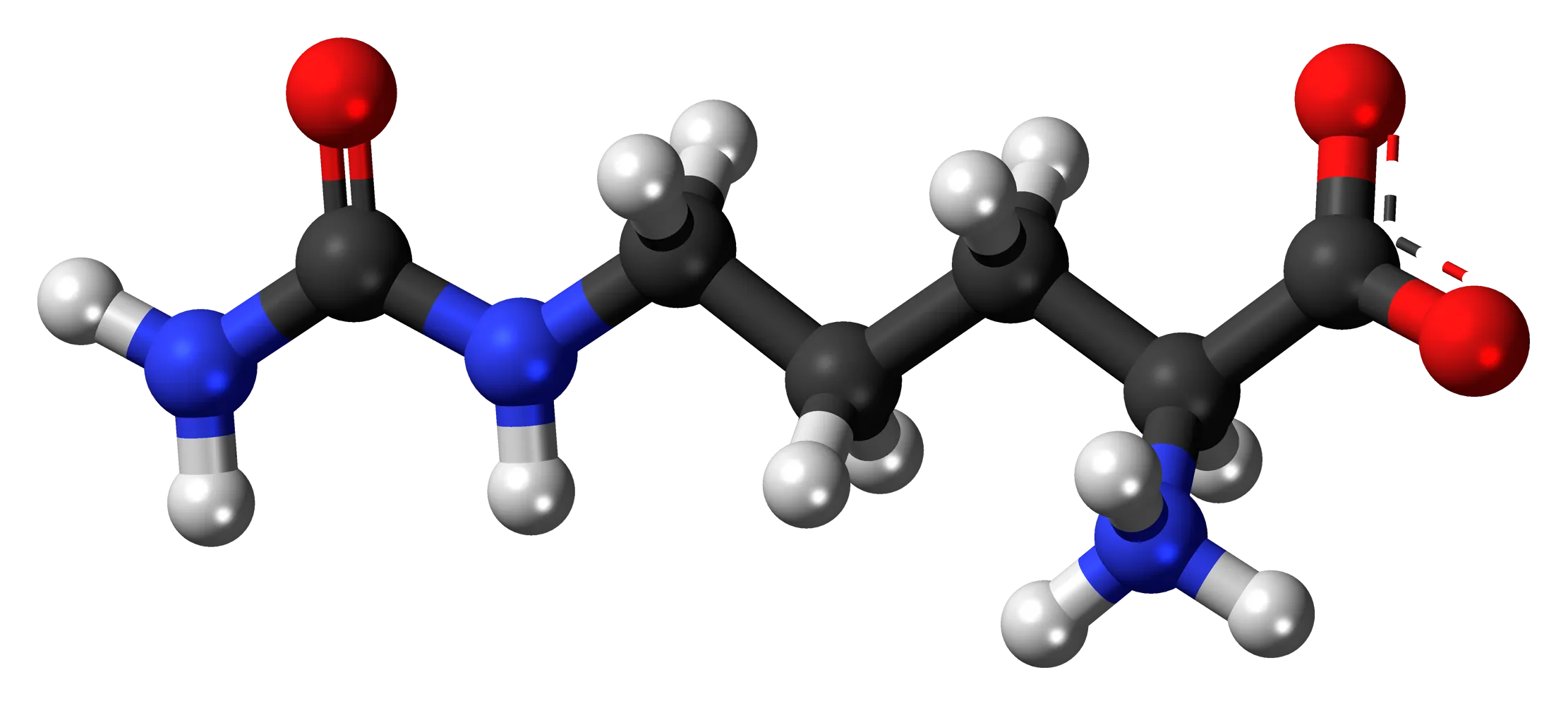 L-Citrulline Malate