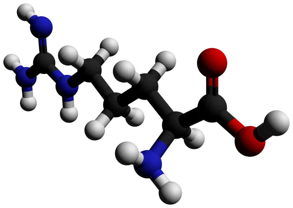 L-Arginine